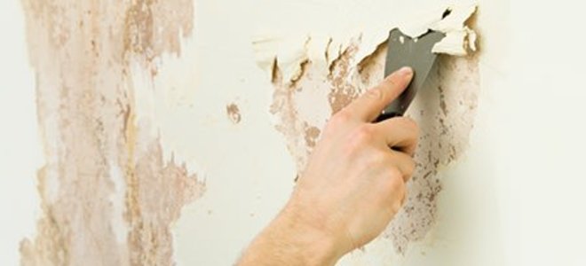 Wallpaper Stripping